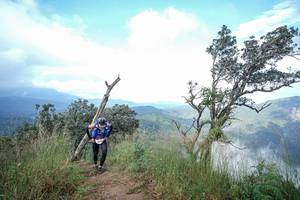 BIB: 
                            <button type="button" onclick="openModal(22372260)" class="btn btn-primary btn-sm float-right btn-popup" data-toggle="modal" data-target=".modal-high-quality">
                        <i class="fas fa-shopping-cart"></i> Add to Cart
                    </button>
                                            <button type="button" onclick="isThisMe(22372260, true)" class="btn btn-success btn-sm float-right btn-popup btn-isme hidden" data-toggle="tooltip" data-placement="bottom" title="นี่คือรูปของคุณใช่ไหม คลิกที่นี่เพื่อเอาเข้าอัลบั้ม">
                        <i class="fas fa-plus"></i> Add to album
                    </button>
                    <button type="button" onclick="isThisMe(22372260, false)" class="btn btn-warning btn-sm float-right btn-popup btn-isnotme hidden">
                        <i class="fas fa-ban"></i> Remove from album
                    </button>